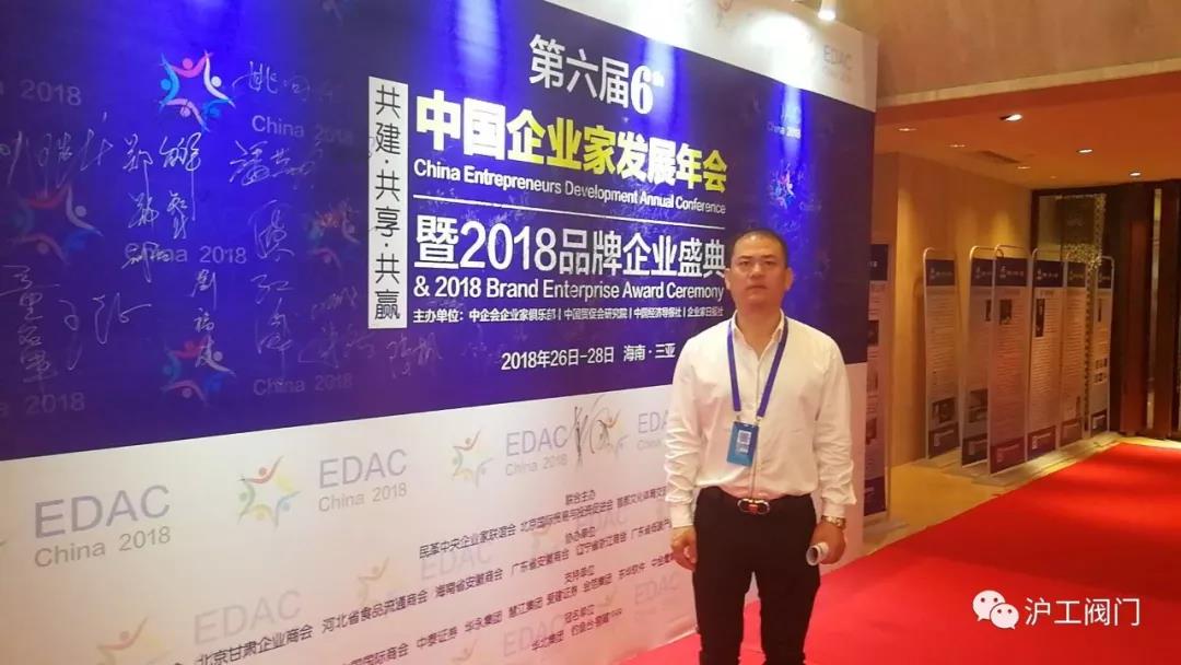 第六届中国企业家发展年会暨2018品牌企业盛典（图2）